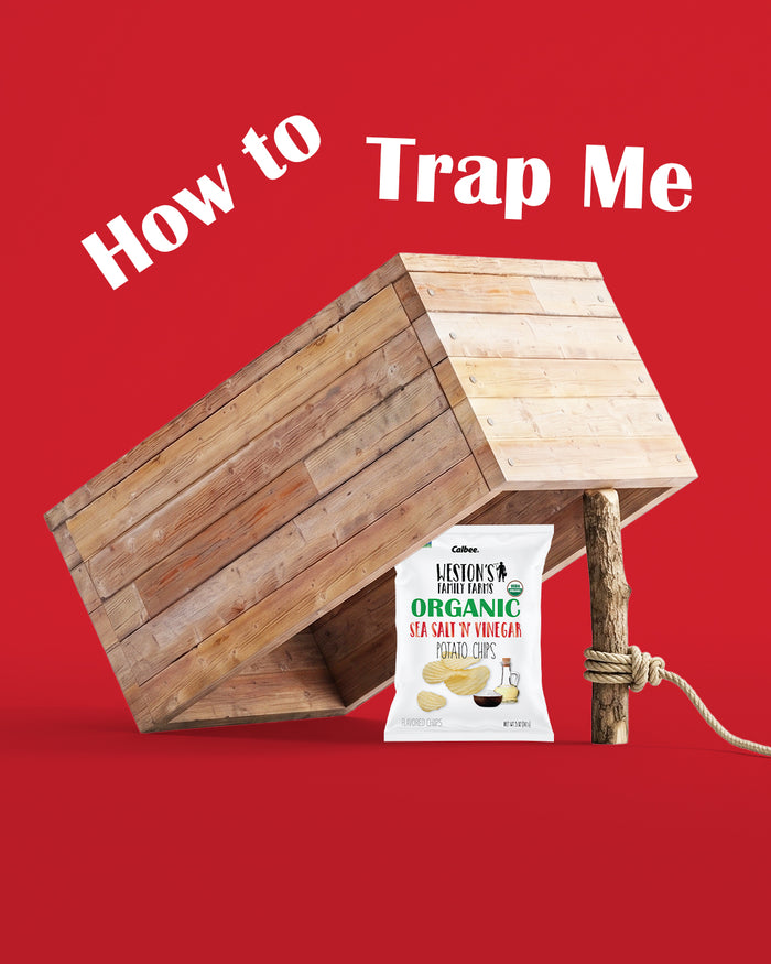 Chips under a box with How to Trap Me
